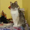 Отзыв от Пелагея Дьякова